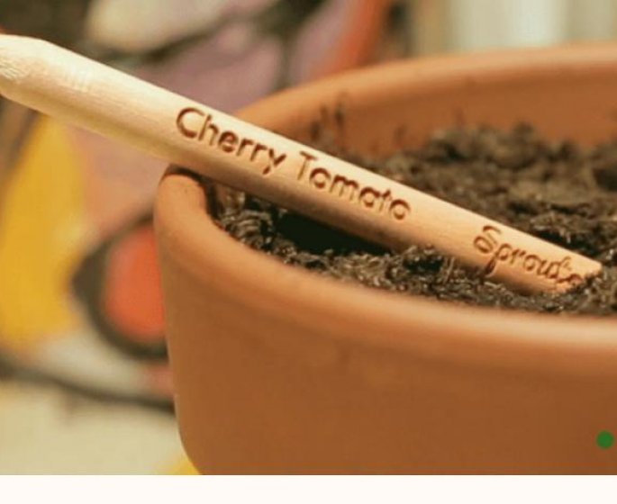 Sprout, un crayon qui devient une plante