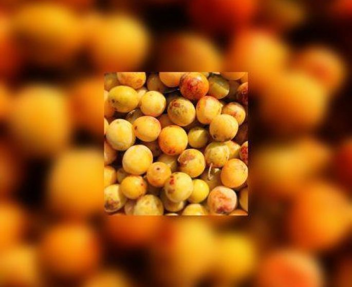 Tarte aux mirabelles et chocolat