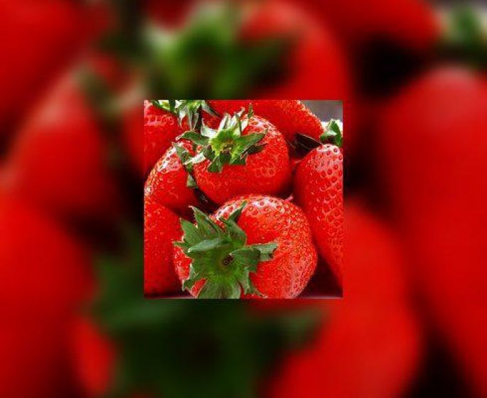 En attendant les fraises