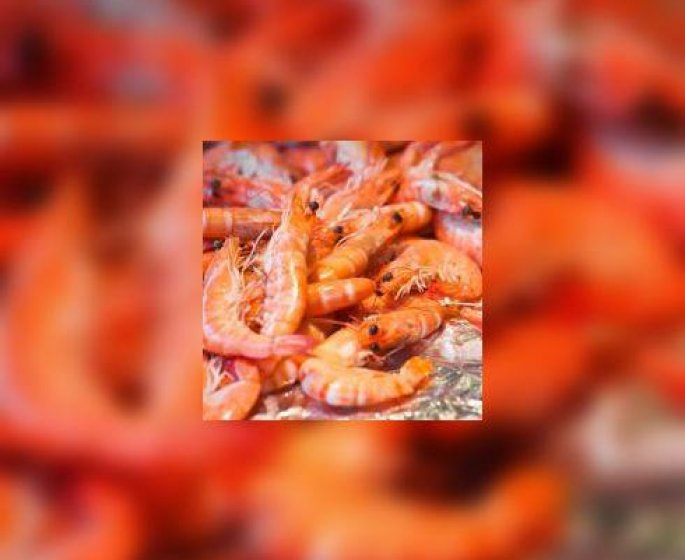 A propos des crevettes