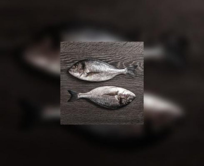 Connaissez-vous bien la dorade ?