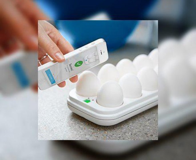Une boite a œufs connectee ?