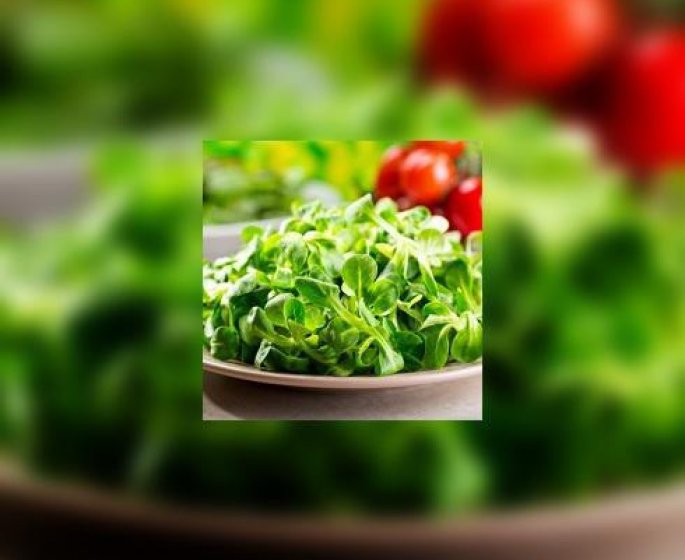 Pourquoi vous devez manger souvent de la mache