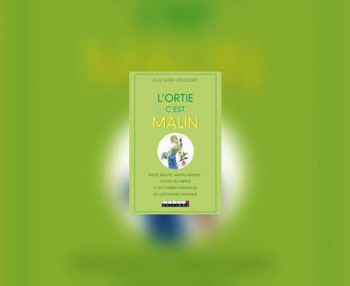 L-Ortie, c-est malin