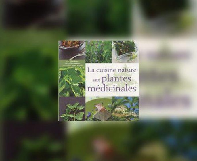 Cuisine nature aux plantes medicinales