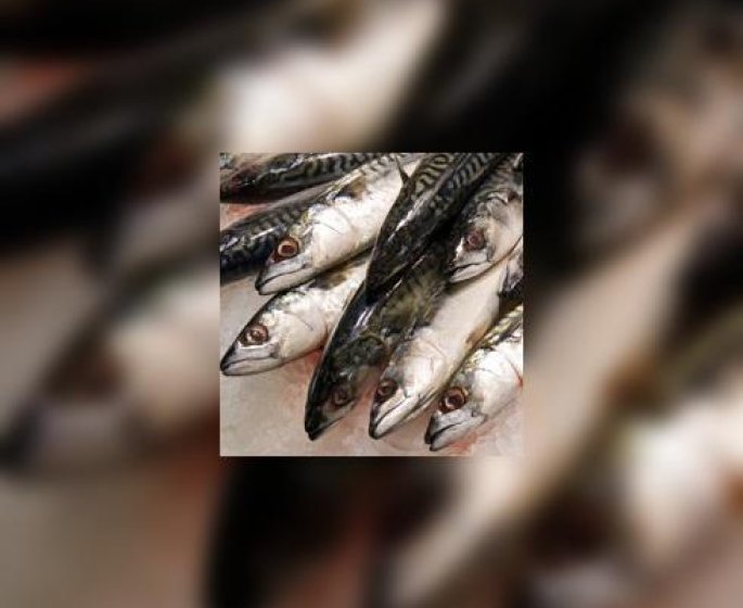 Comment choisir les sardines ?
