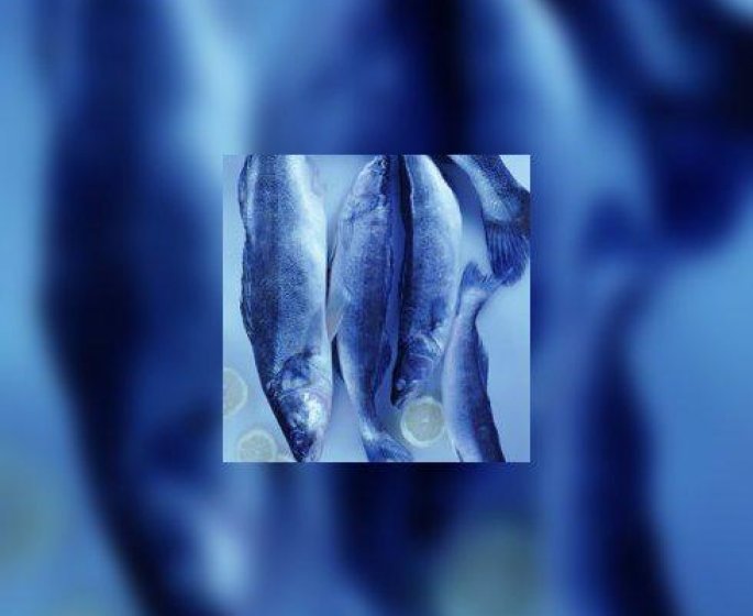 Sauvetage des poissons dans la restauration collective