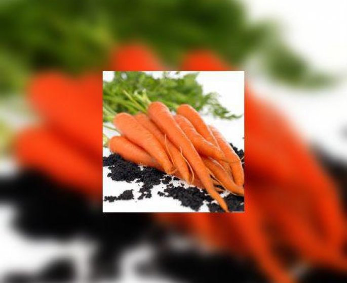 Faut-il vraiment manger des carottes ?