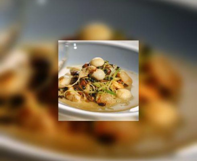 Saint-Jacques, tagliatelles de celeri et truffe