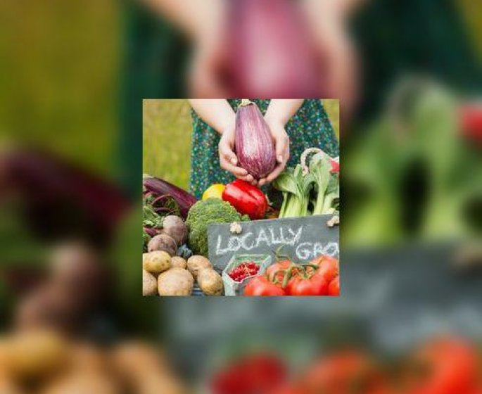 Pourquoi devez-vous manger bio le plus souvent possible ?