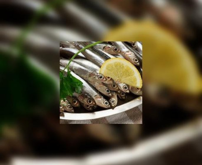 Sardines : comment les preparer ?