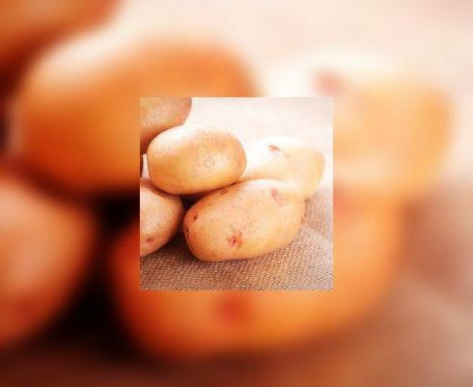Pommes de terre nouvelles : bientot la fin