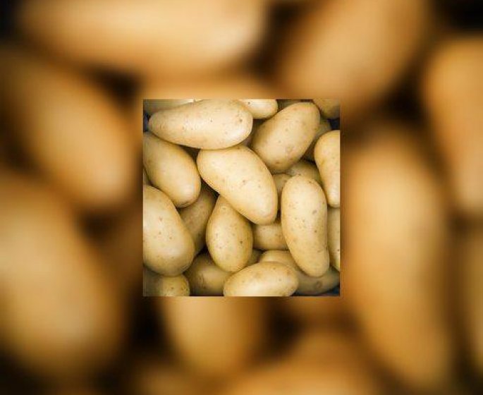 Vive les patates !