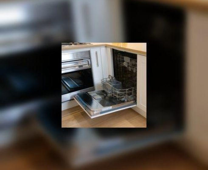 Et si on cuisinait au lave-vaisselle ?