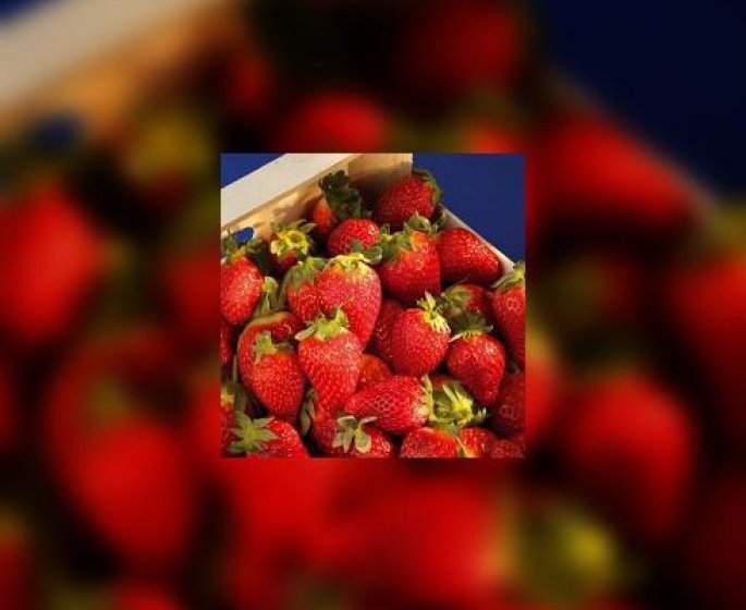 Ca n’est pas encore la saison des fraises !