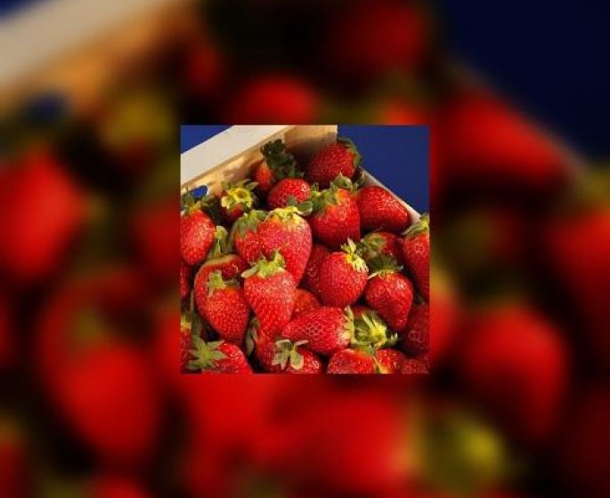 Ca n’est pas encore la saison des fraises ! 