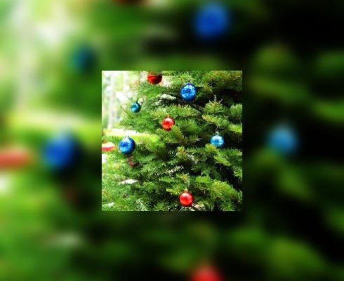 Fetes J - 19 : Le Sapin