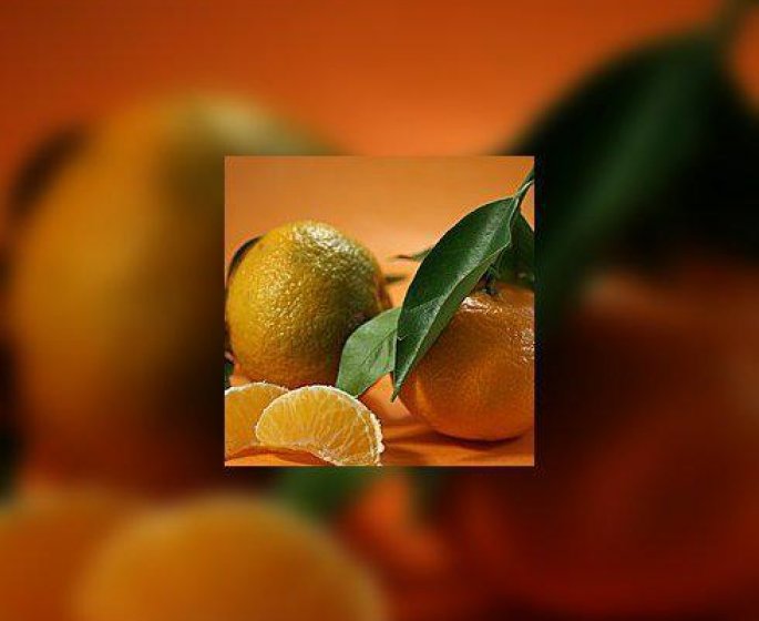 Etes-vous un(e) locavore ?