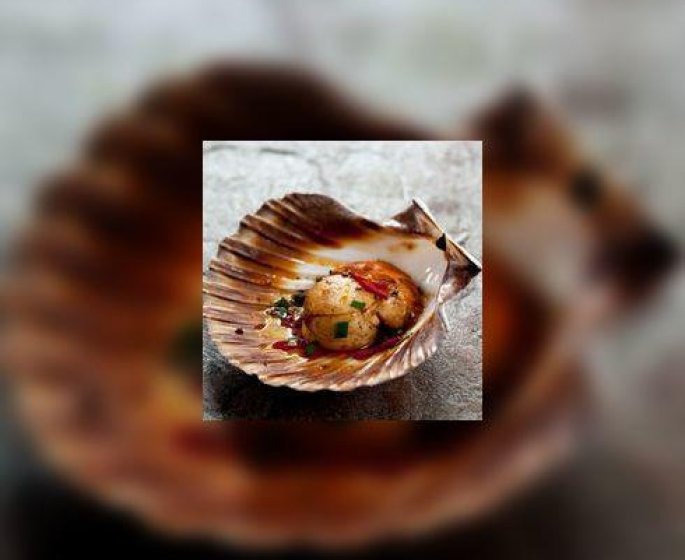Coquilles Saint-Jacques : gare aux arnaques !
