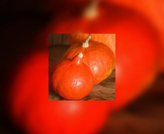 Comment cuisiner le potimarron ?