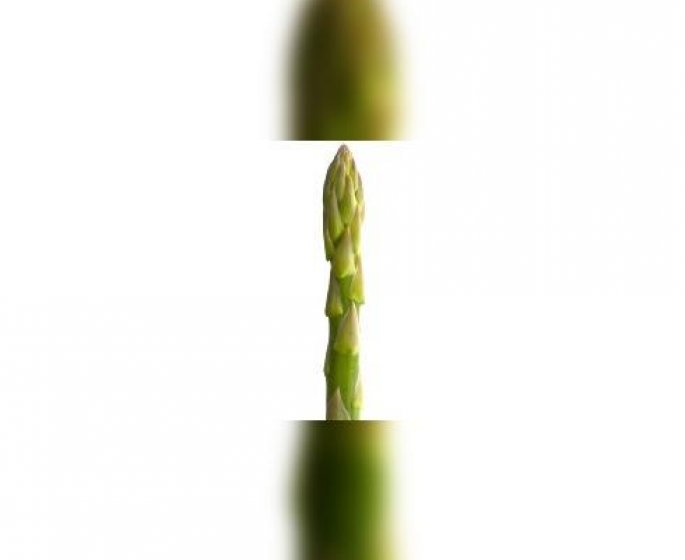Aphrodisiaques, les asperges ?