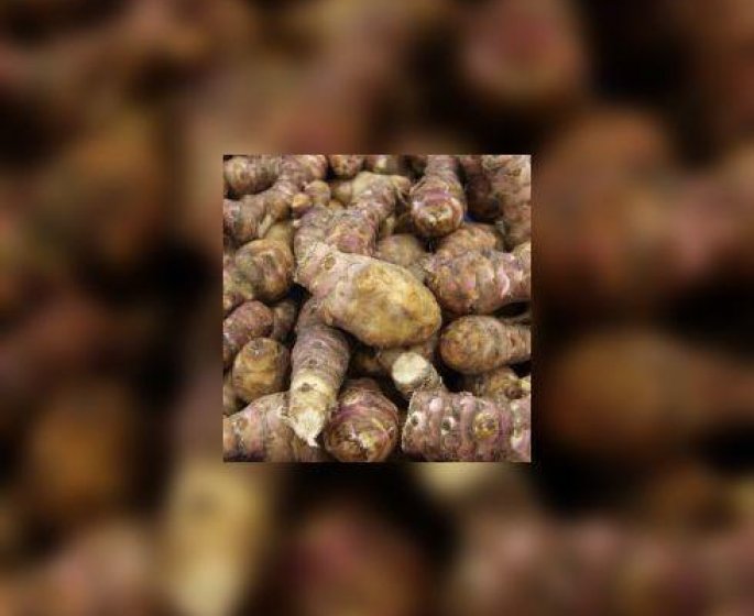 Pourquoi le topinambour s-appelle topinambour