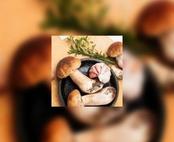 Comment bien choisir et nettoyer les cepes