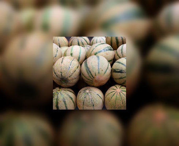Pire que le loto, le choix d’un melon !
