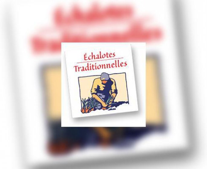 L’echalote traditionnelle arrive dans votre panier !