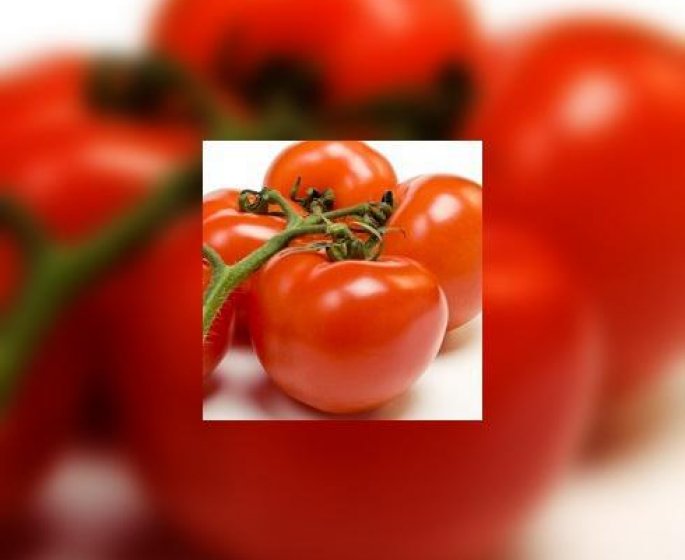 Pourquoi vous allez manger des tomates ?