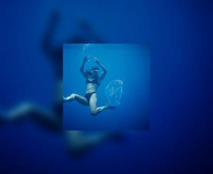 Piqure de meduse : quel est le bon reflexe ?