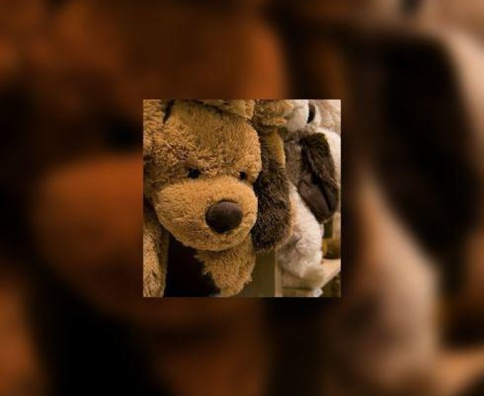 Guide d’achat : comment bien choisir les peluches ?