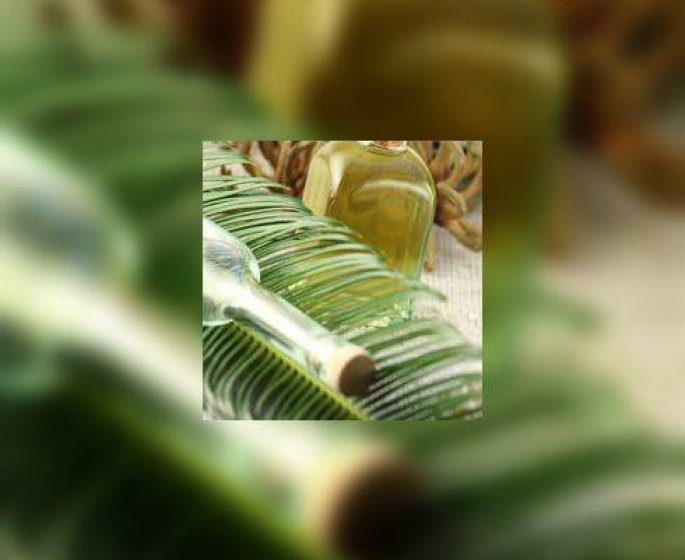 L’huile de palme, taxee par un « amendement Nutella »