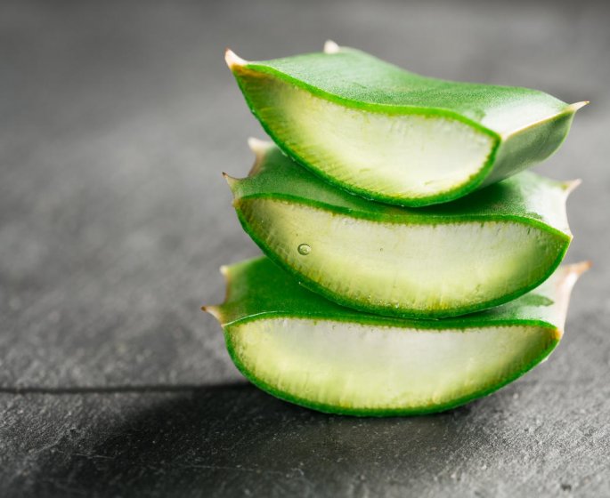 Aloe vera : pourquoi il ne faut pas consommer ses feuilles fraiches