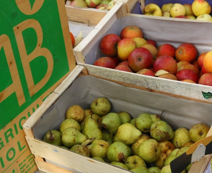 L’alimentation bio reduirait de 25% le risque de cancer