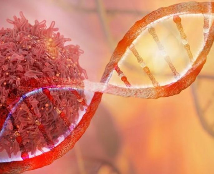 BRCA1, BRCA2, PALB2 : l-alteration de ces genes surexpose au risque de cancer du sein