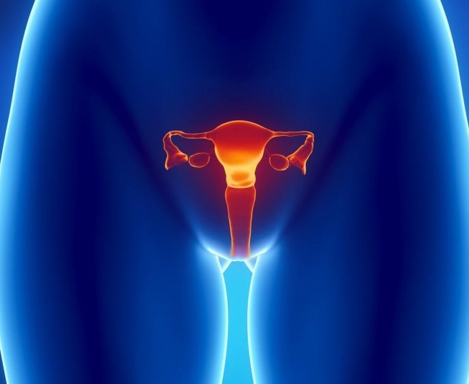 Papillomavirus : pourquoi l’Australie est en passe d’en finir avec le cancer du col de l’uterus