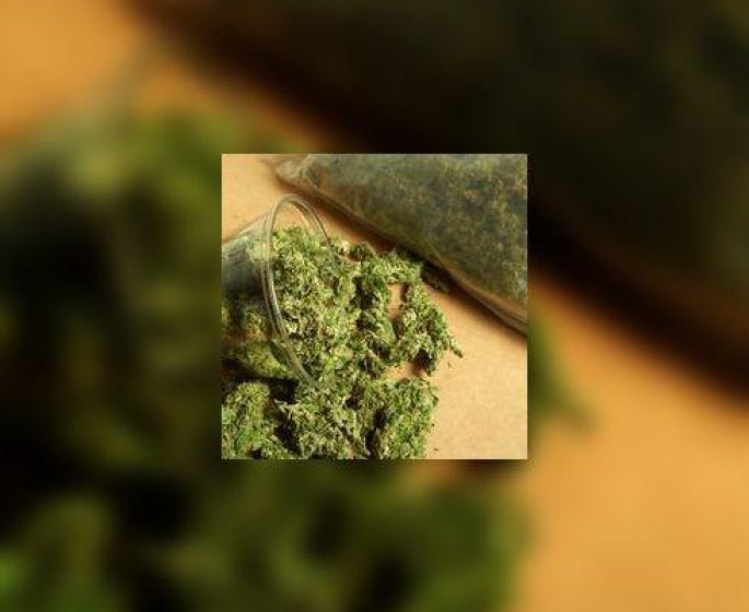 Usage therapeutique du cannabis : le Savitex® est autorise en France