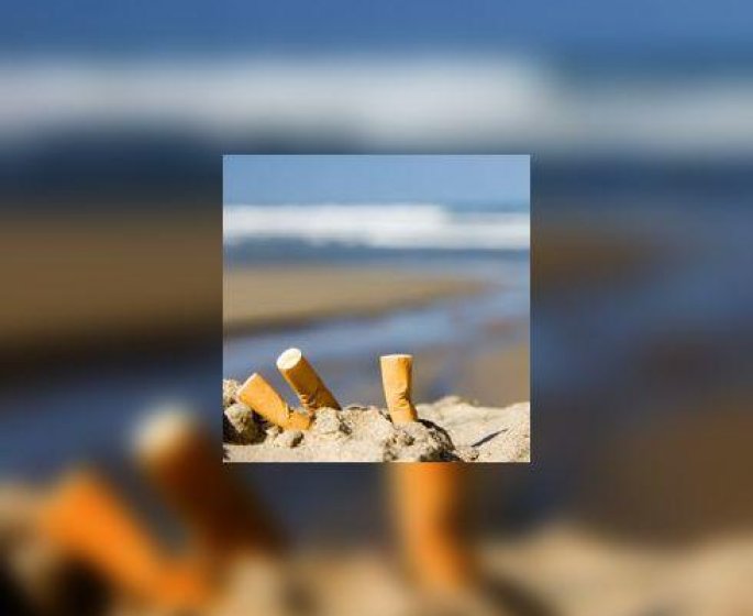 Interdiction de fumer a la plage : 75% des Francais pour