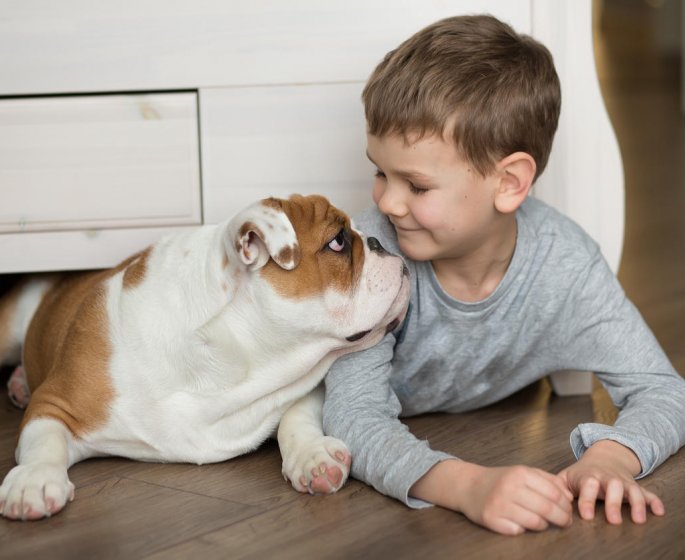 Les traitements anti puces de vos animaux de compagnie peuvent etre dangereux pour vos enfants