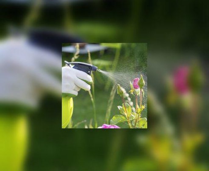 Insecticide : les pyrethrinoides perturbent le developpement intellectuel des enfants