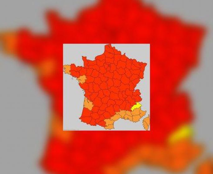 Allergie aux pollens : alerte maximale