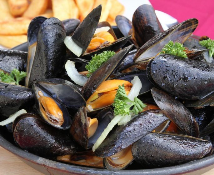 Intoxications a la bacterie E. coli : rappel de moules contaminees