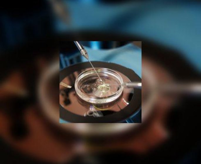 Congelation des ovocytes : la nouvelle strategie de management de Facebook et Apple