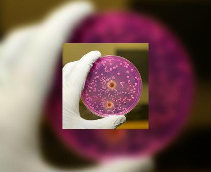 Un test sanguin pour faciliter la prescription des therapies ciblees