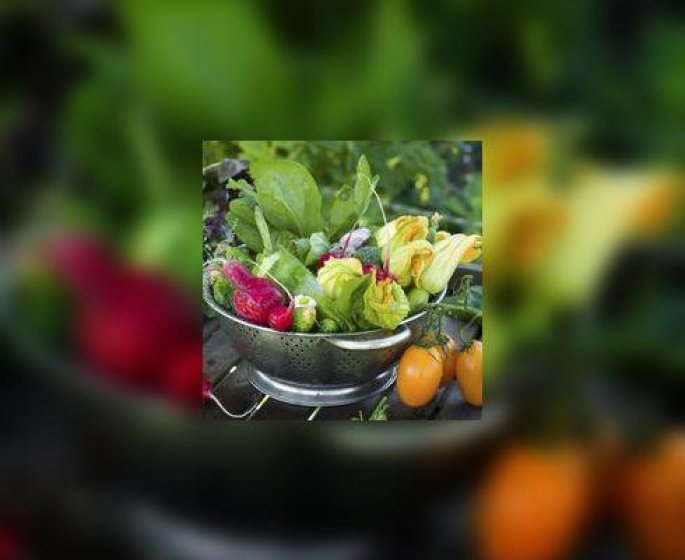 Est-il vraiment utile de manger bio pour echapper aux pesticides ?