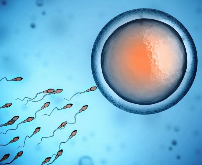 Qualite du sperme : une baisse due a de multiples causes environnementales