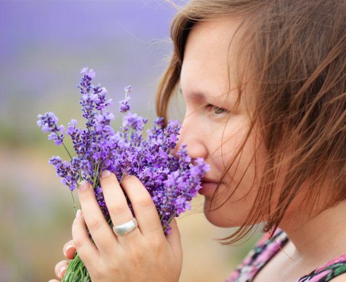 Riche en linalol, la lavande a de vrais effets anxiolytiques