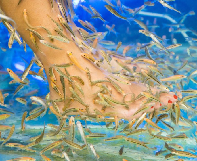 Une femme perd ses ongles de pieds apres avoir fait une fish pedicure