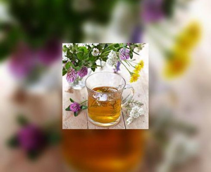 29 plantes et substances interdites dans un but d’amaigrissement